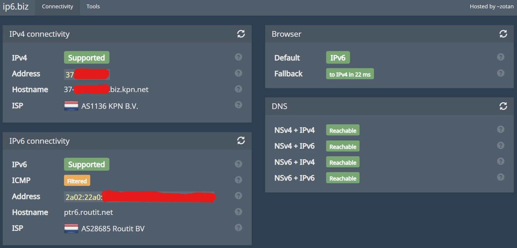 ip6.biz results